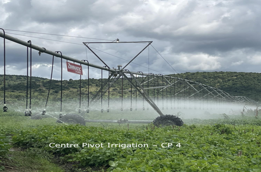 Irrigation